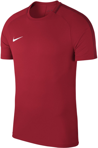 T-shirt Nike Nike Dry Academy18 T-Shirt Rød | 893693-657