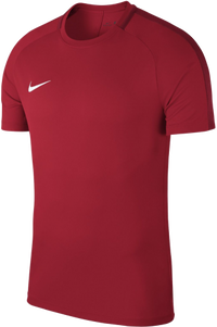 Nike Dry Academy18 T-Shirt