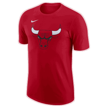 T-shirt Nike NBA Chicago Bulls Essential Rød | FJ0231-657, 0