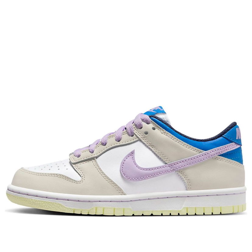 Sneakers og sko Nike Dunk Low Lilla | FB9109-103