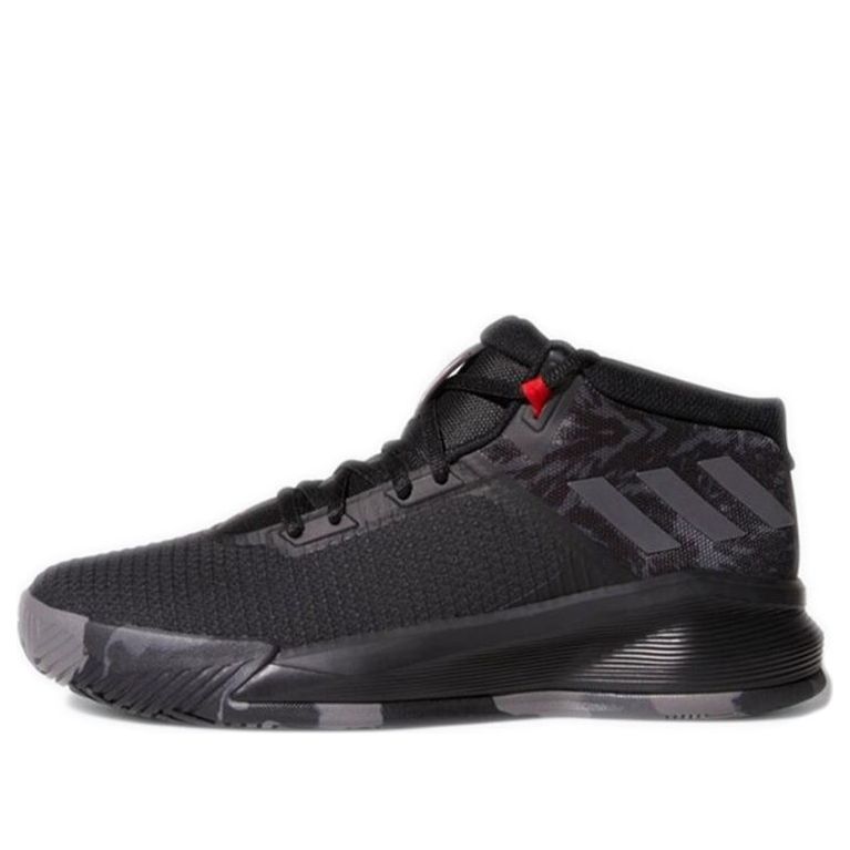 Sneakers og sko adidas Performance D Lillard Brookfield Sort | CQ0532, 0