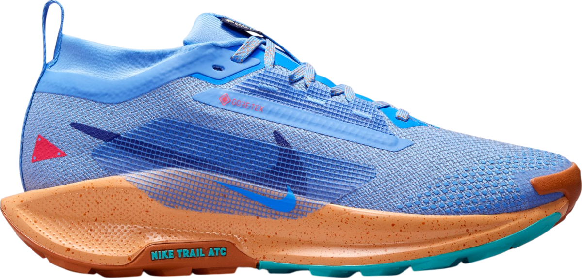 Sneakers og sko Nike Pegasus Trail 5 GORE-TEX Blå | fq0912-401, 0