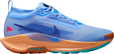 Sneakers og sko Nike Pegasus Trail 5 GORE-TEX Blå | fq0912-401, 0