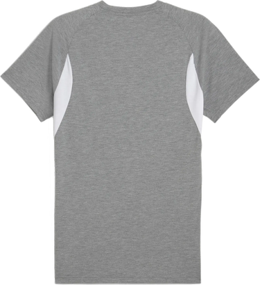 T-shirt Puma Puma teamEVOSTRIPE T-Shirt Grå | 659953-33, 1
