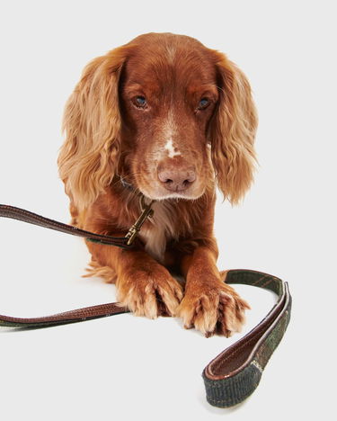 Tilbehør Barbour Classic Tartan Dog Lead Flerfarvet | DAC0009TN11, 1