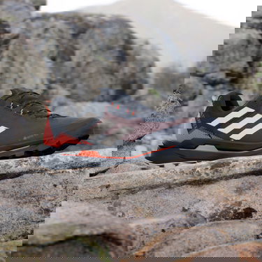 Sneakers og sko adidas Performance adidas TERREX Turistické boty Terrex Skychaser Tech Gore-Tex Sort | IE9904, 3