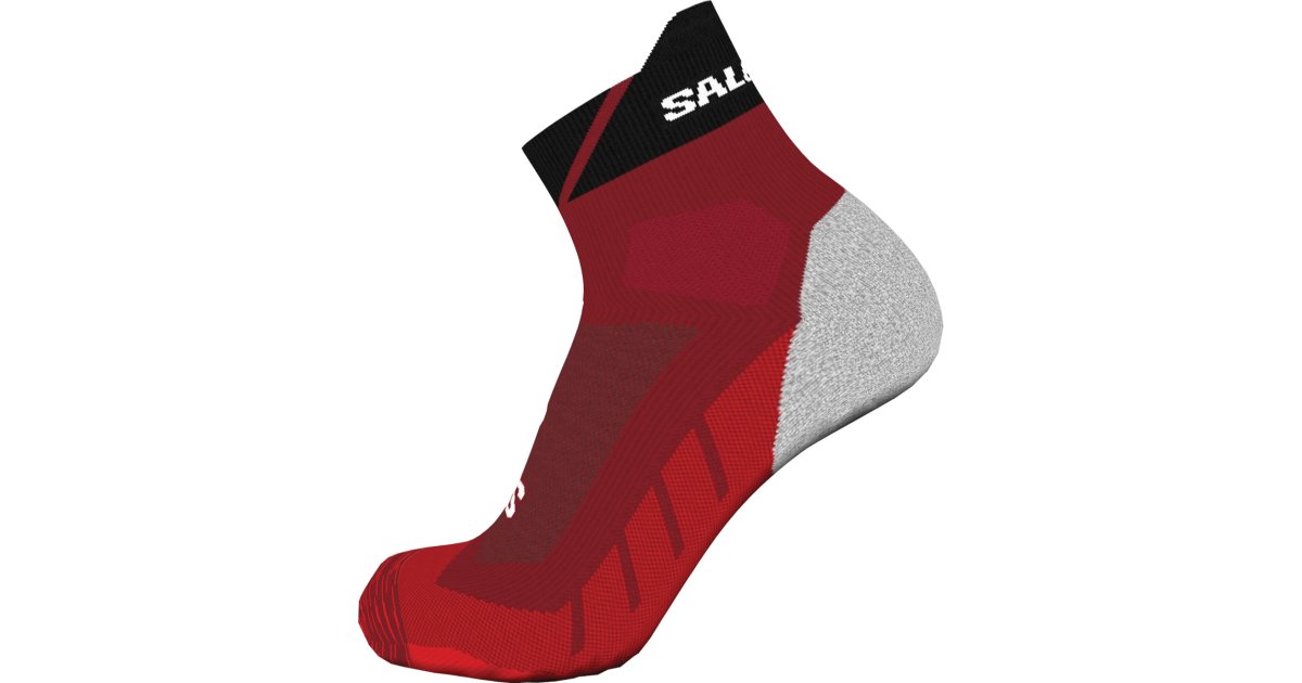 Sokker Salomon Ponožky Speedcross Flerfarvet | lc2165300, 1