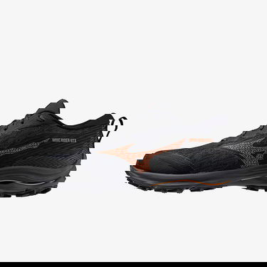 Sneakers og sko Mizuno Wave Rider GTX Sort | J1GC227951, 0