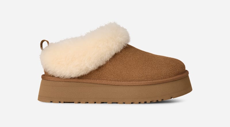 Sneakers og sko UGG Tazzelle Slippers Brun | 1171393-CHE