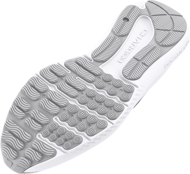 Sneakers og sko Under Armour UA Charged Surge 4 Grå | 3027000-100, 2