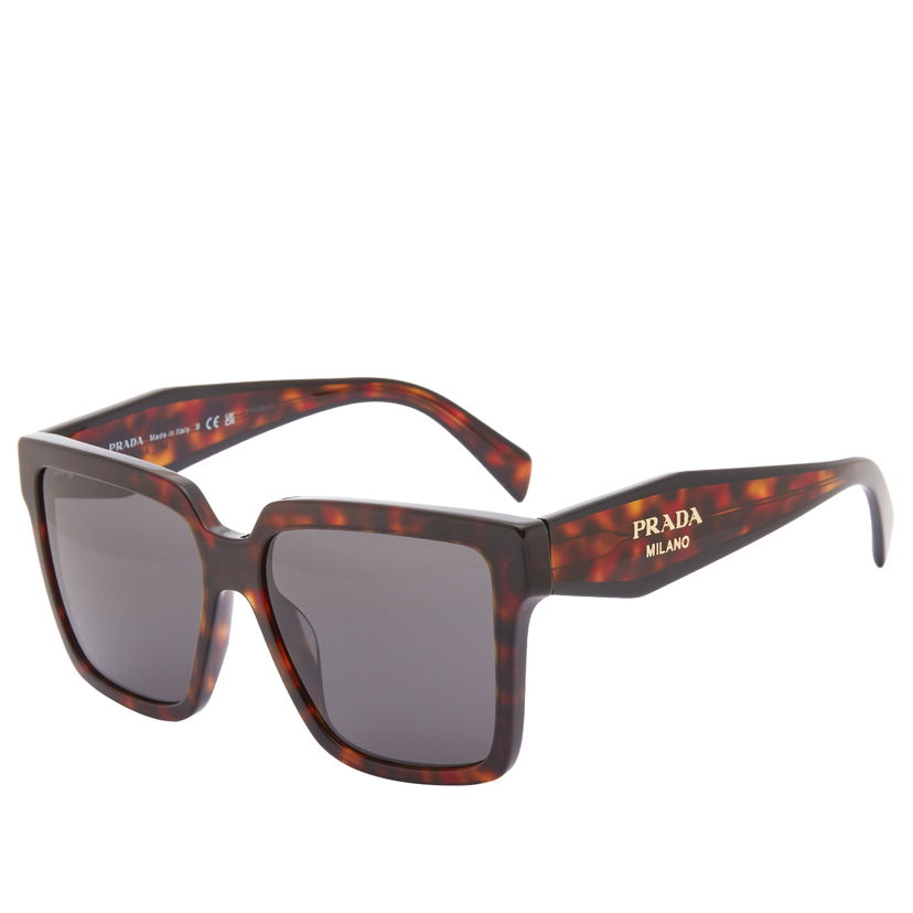 Solbriller Prada Tortoise Shell Sunglasses Brun | 0PR-24ZS-17N40L56