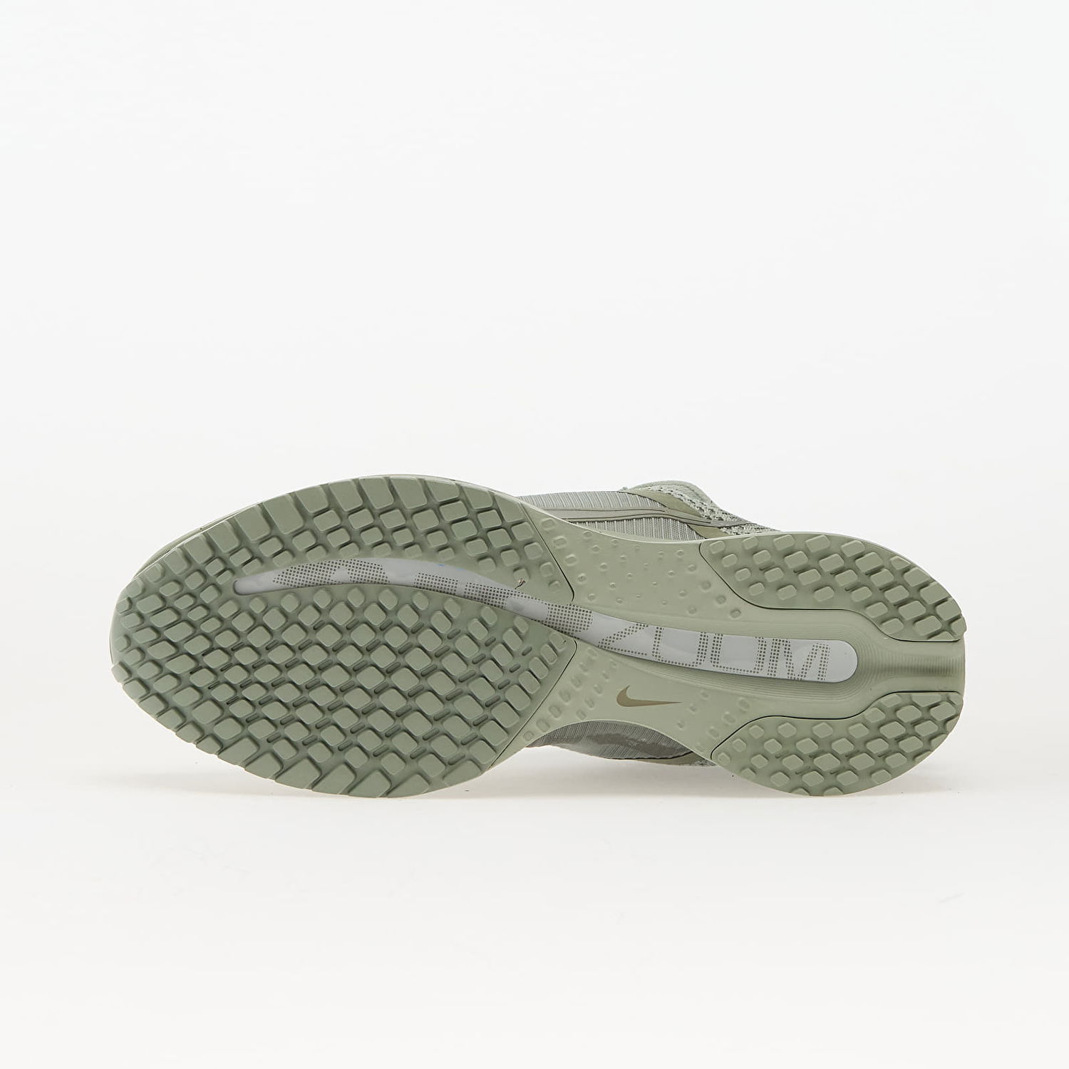 Sneakers og sko Nike Pegasus Premium Grøn | HQ2592-300, 1