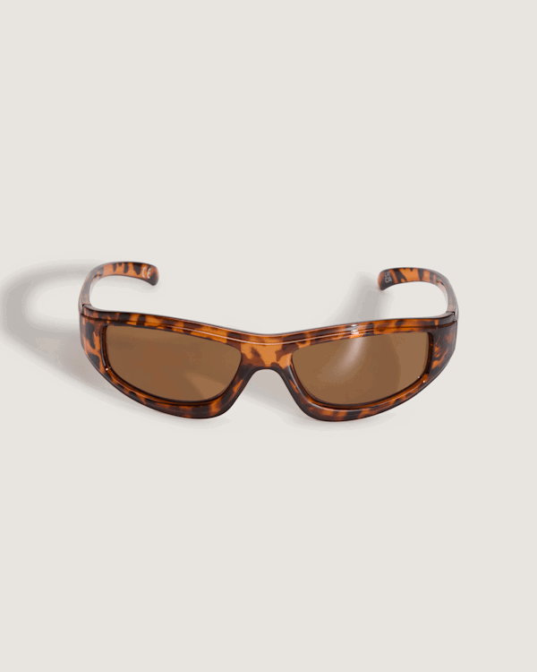 Solbriller Vans Vans Felix Sunglasses Brun | VN000GMZ1RE