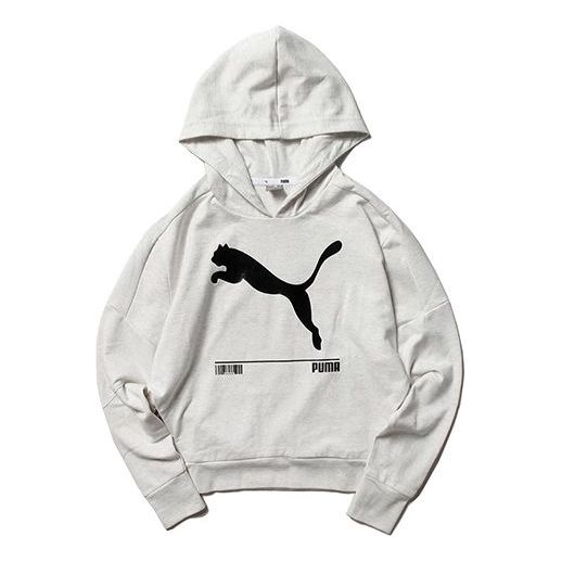 Sweatshirt Puma Nu-tility Hoodie Grå | 582780-19, 0