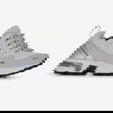 Sneakers og sko Salomon Acs + CSWP Grå | L47308200, 0