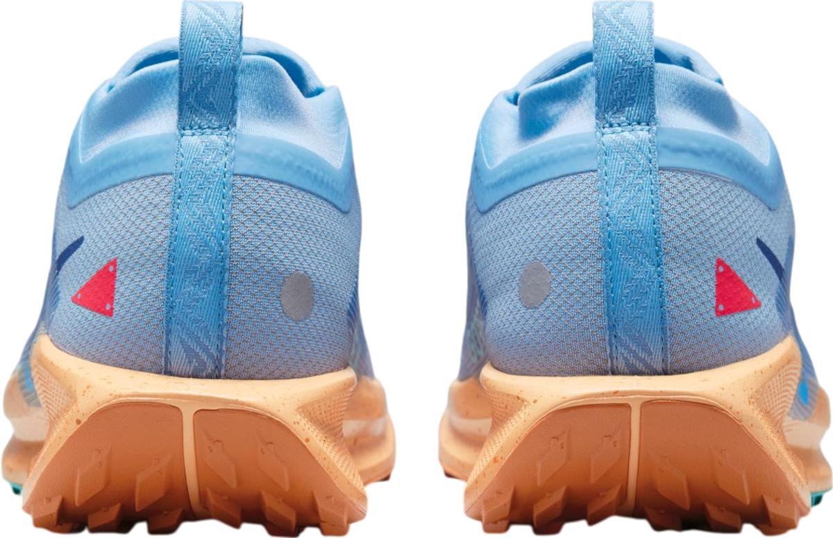 Sneakers og sko Nike Pegasus Trail 5 GORE-TEX Blå | fq0908-400, 1