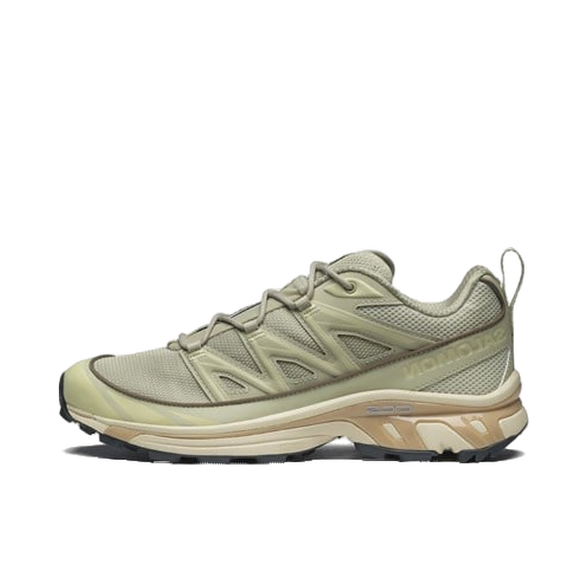 Sneakers og sko Salomon Xt-6 Expanse Grå | L47445600