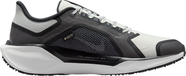 Sneakers og sko Nike Pegasus 41 GORE-TEX Sort | fq1356-002, 3