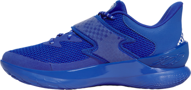 Sneakers og sko Under Armour Under Armour CURRY FOX 1 KW Blå | 6001924-400, 1