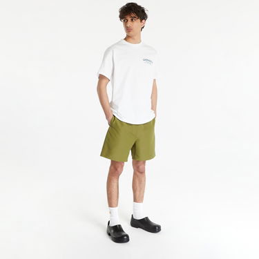 Badetøj Carhartt WIP Island Swim Trunks Green Grøn | I030059.1FSXX, 2