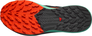 Sneakers og sko Salomon SENSE RIDE 5 Grøn | l47698200, 2