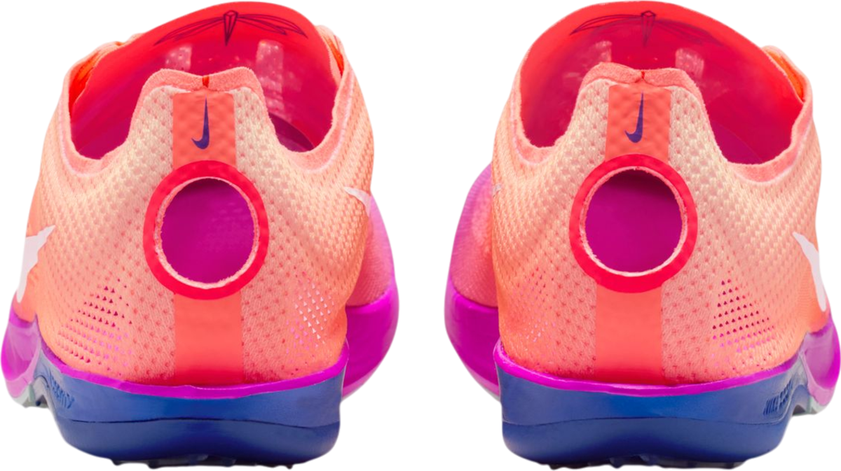 Sneakers og sko Nike Dragonfly 2 RSG Flerfarvet | io0310-800, 1