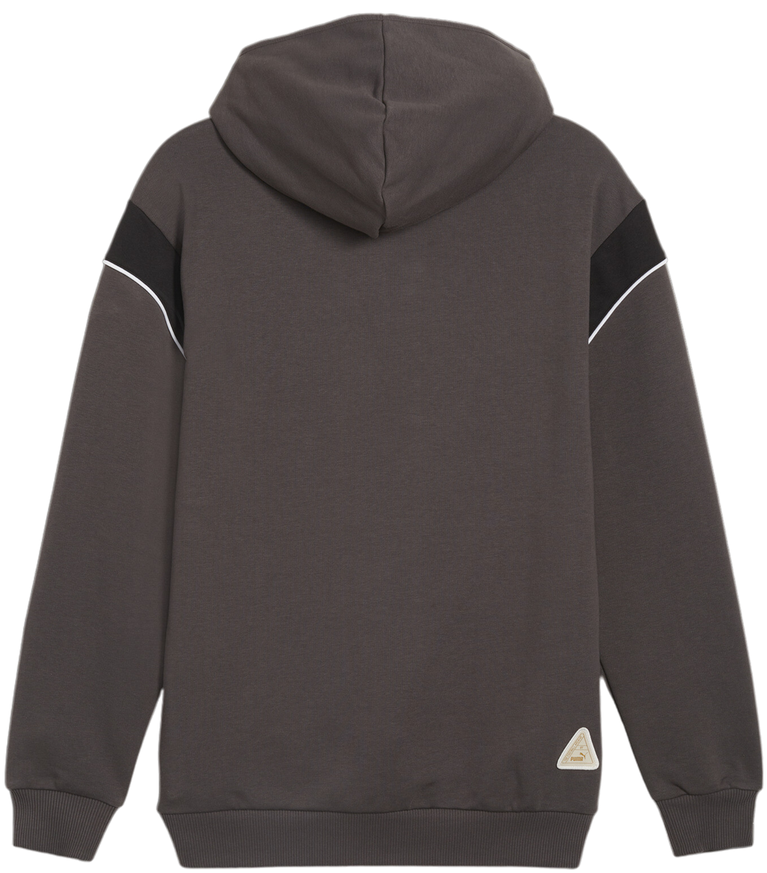 Sweatshirt Puma BVB Dortmund Ftbl Archive Hoody Grå | 774264-04, 1