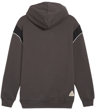 Sweatshirt Puma BVB Dortmund Ftbl Archive Hoody Grå | 774264-04, 1