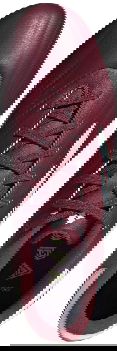 Sneakers og sko adidas Performance Copa Pure II League FG Bourgogne | IE7491, 1