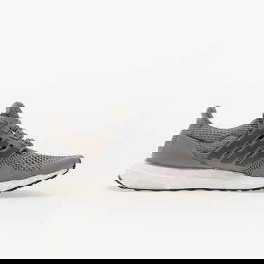 Sneakers og sko adidas Performance Ultraboost 1.0 HQ4200 Grå | HQ4200, 2