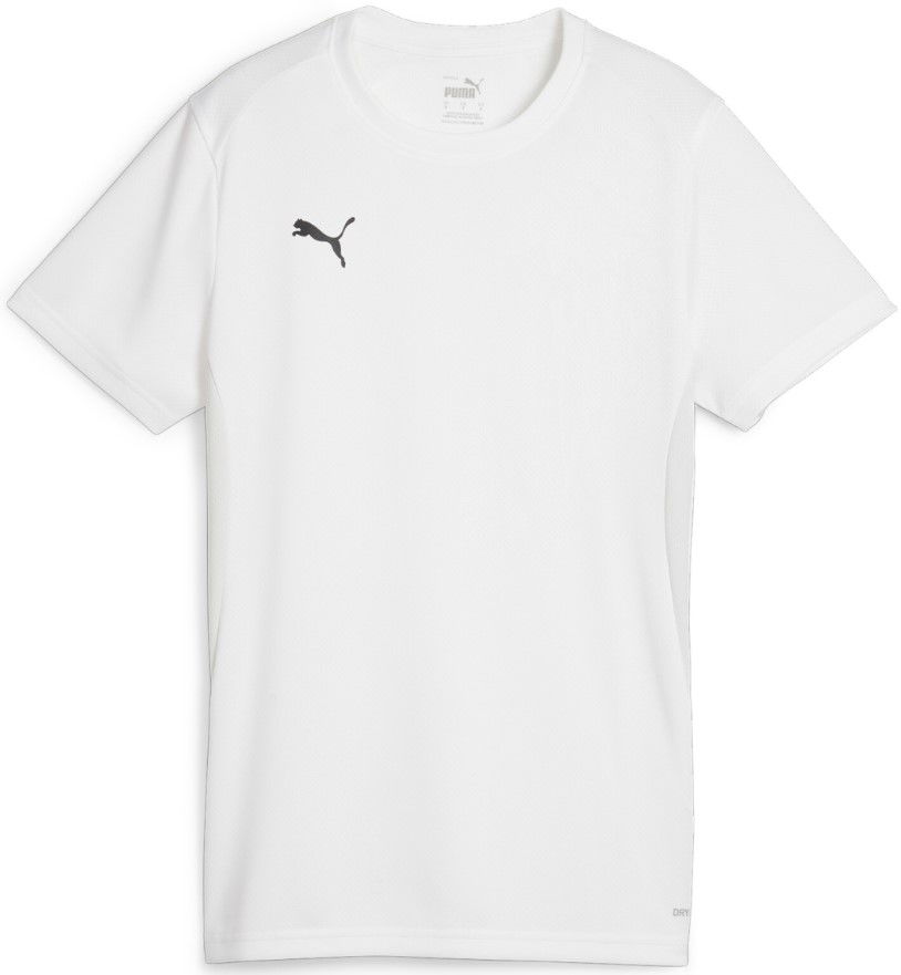 Jersey Puma Dres teamGOAL Jersey W Grå | 658638-04