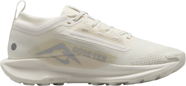 Sneakers og sko Nike Pegasus Trail 5 GORE-TEX Beige | fq0912-102, 3