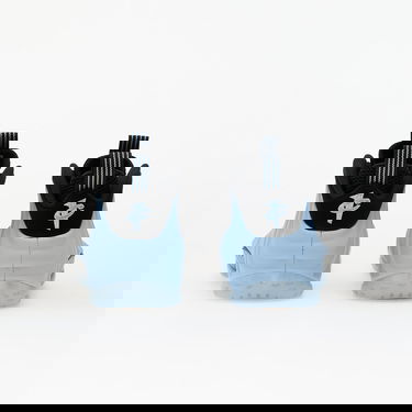 Sneakers og sko Nike Air Foamposite One Blå | HJ6014-400, 4