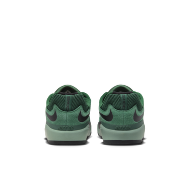 Sneakers og sko Nike SB Ishod Wair Grøn | DC7232-301, 3