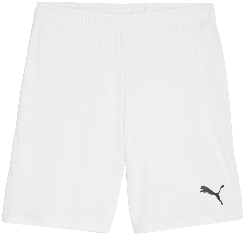 Shorts Puma teamGOAL Shorts Hvid | 705752-04