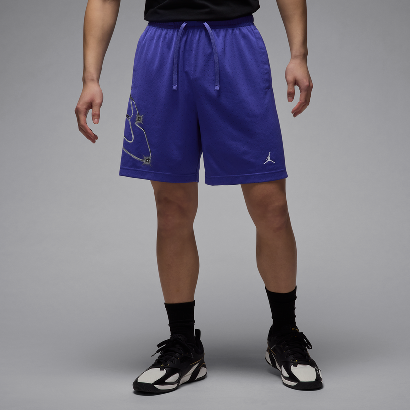 Shorts Jordan Jordan Sport Dri-FIT Graphic Shorts Lilla | HF9943-543