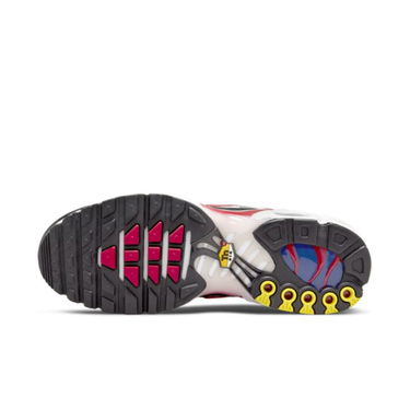 Sneakers og sko Nike Air Max Plus Grå | DM0032-002, 2