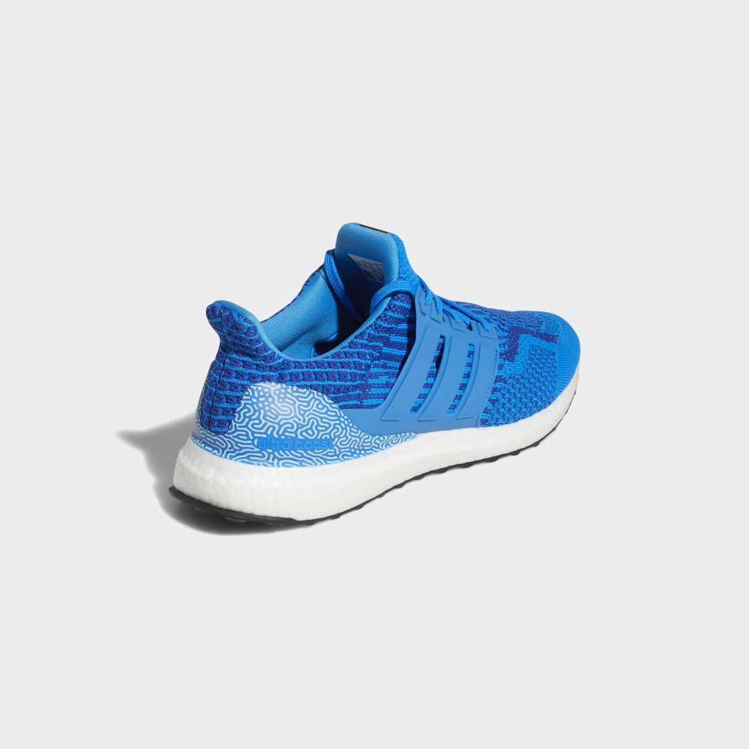 Sneakers og sko adidas Performance Ultraboost DNA Blå | GV8711, 1