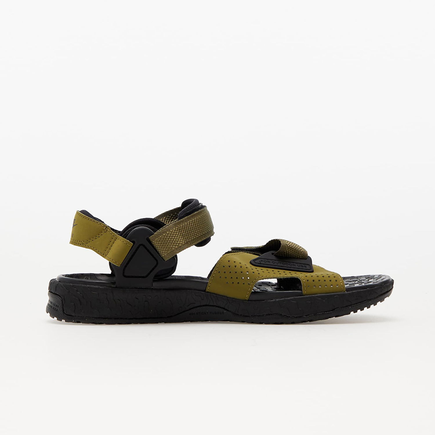 Sneakers og sko Nike ACG Air Deschutz+ Grøn | DO8951-300, 1