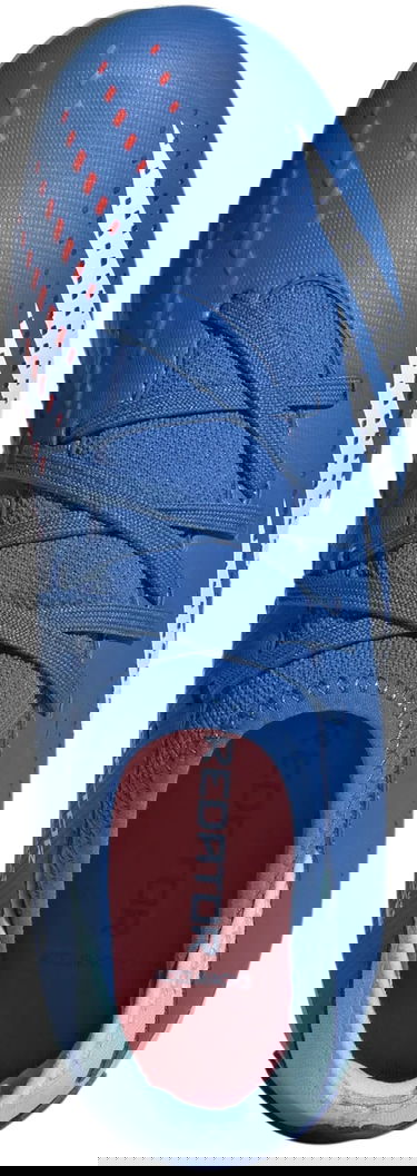 Sneakers og sko adidas Performance Predator Accuracy.3 FG Blå | ie9503, 1
