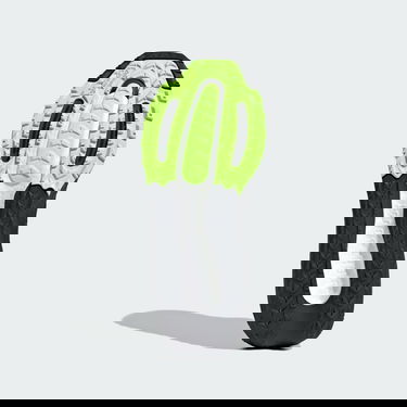 Sneakers og sko adidas Performance Ultraboost Light GTX Sort | IE1683, 2