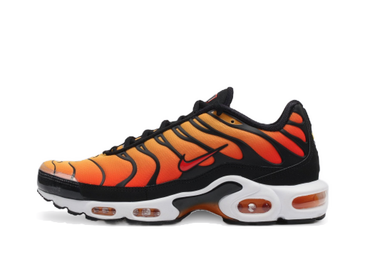 Sneakers og sko Nike Air Max Plus OG Orange | BQ4629-001