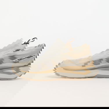 Sneakers og sko Salomon Odyssey Elmt Advanced Clear Vanilla Ice/ Bleached Sand/ Safari Beige | L47419500, 0
