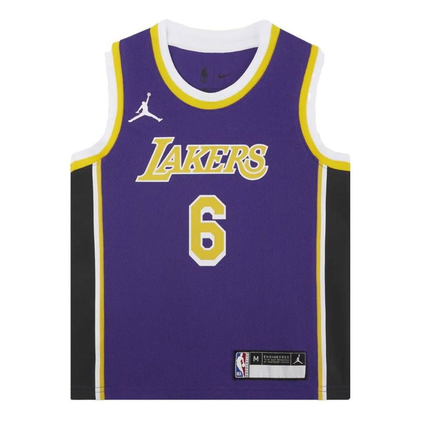 Jersey Jordan Air Jordan NBA Los Angeles Lakers LeBron James Jersey Lilla | DR1055-504