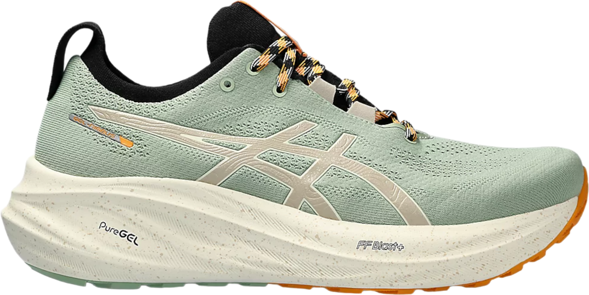 Sneakers og sko Asics GEL-NIMBUS 26 TR Grå | 1011b849-250, 0