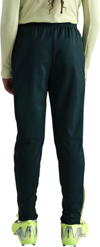 Joggingbukser Nike Therma-FIT Academy Pants Grøn | fj6182-390, 2