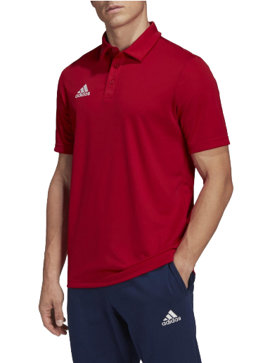 Polo skjorte adidas Originals Entrada 22 Polo Rød | h57489