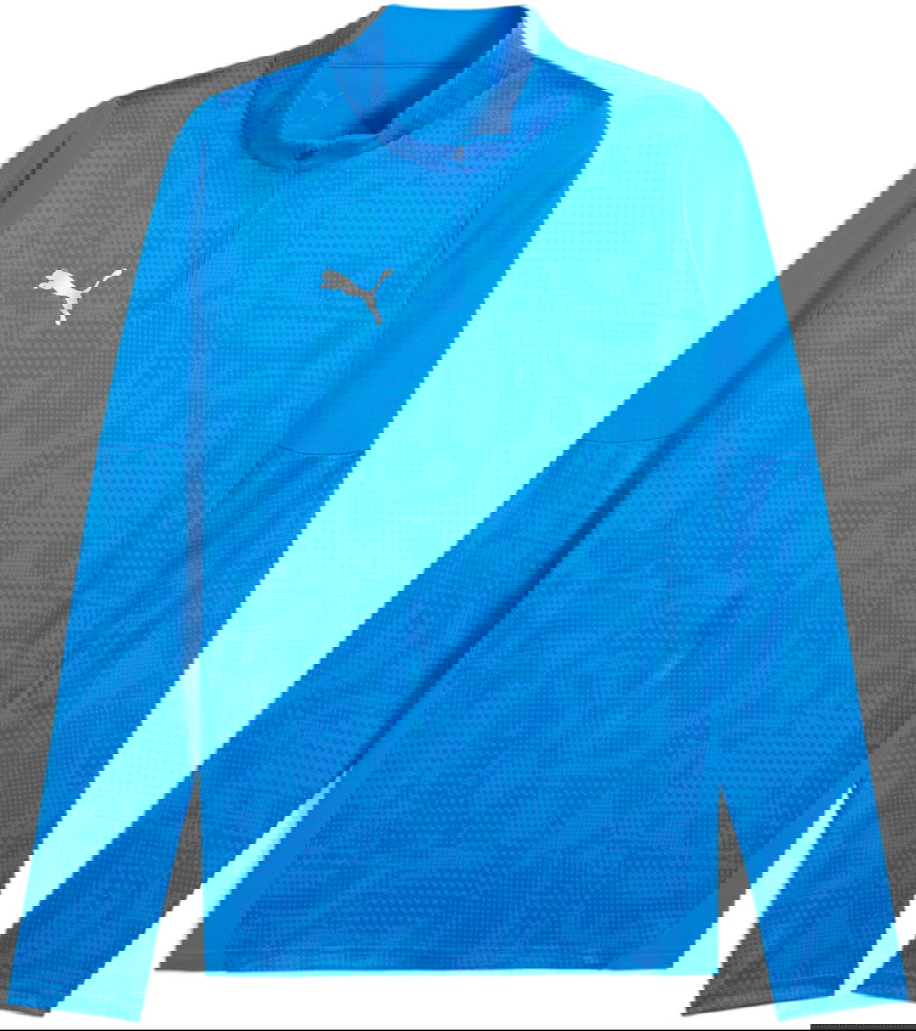 Sweatshirt Puma teamCUP Training Long-sleeved 1/4 Zip Top Blå | 659164-02, 0