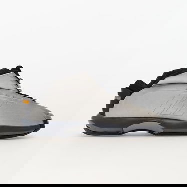 Sneakers og sko adidas Originals Crazy 1 Metalisk | GY2410, 3
