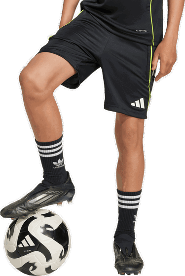 Shorts adidas Originals Tiro 25 Competition Short Sort | jw4362, 1